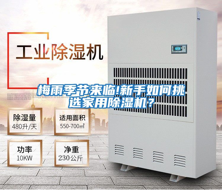 梅雨季節(jié)來臨!新手如何挑選家用除濕機(jī)?