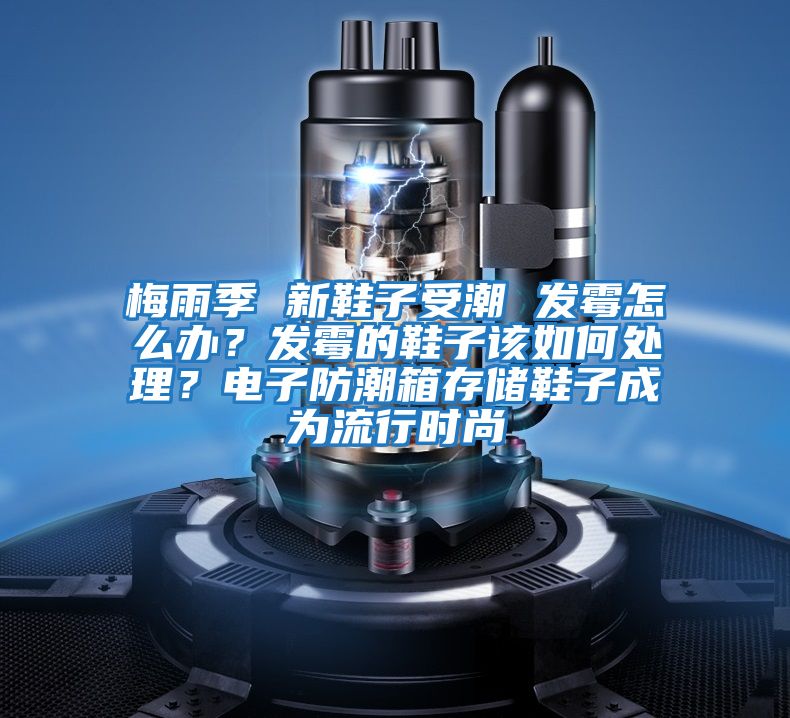 梅雨季 新鞋子受潮 發(fā)霉怎么辦?發(fā)霉的鞋子該如何處理?電子防潮箱存儲(chǔ)鞋子成為流行時(shí)尚