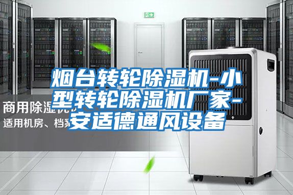 煙臺轉(zhuǎn)輪除濕機-小型轉(zhuǎn)輪除濕機廠家-安適德通風(fēng)設(shè)備
