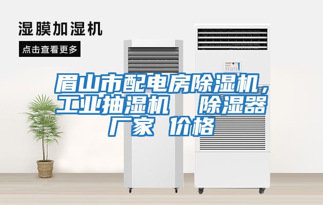 眉山市配電房除濕機，工業(yè)抽濕機  除濕器廠家 價格