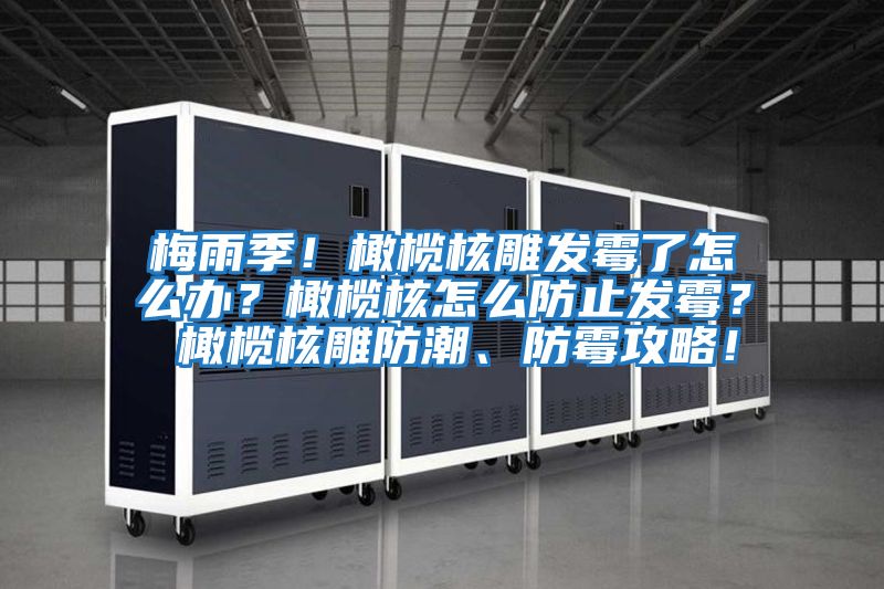 梅雨季!橄欖核雕發霉了怎么辦?橄欖核怎么防止發霉? 橄欖核雕防潮、防霉攻略!