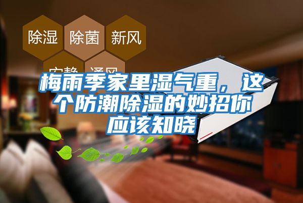 梅雨季家里濕氣重,這個(gè)防潮除濕的妙招你應(yīng)該知曉