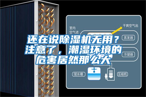 還在說除濕機(jī)無用？注意了，潮濕環(huán)境的危害居然那么大