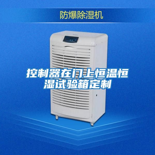 控制器在門(mén)上恒溫恒濕試驗(yàn)箱定制