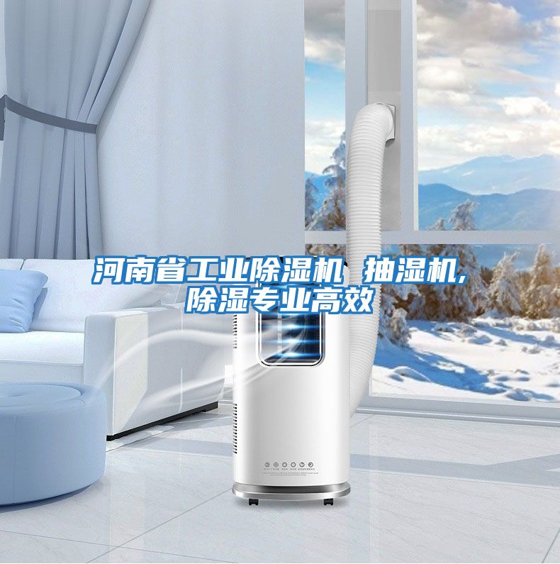 河南省工業(yè)除濕機 抽濕機,除濕專業(yè)高效