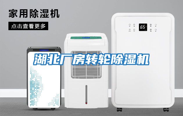 湖北廠房轉輪除濕機
