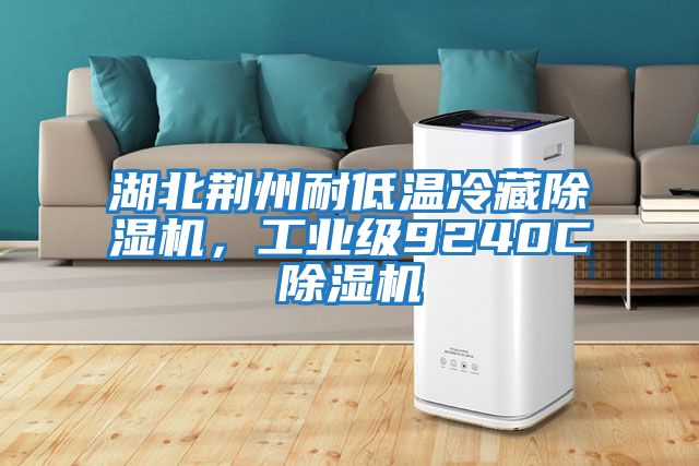 湖北荊州耐低溫冷藏除濕機，工業級9240C除濕機