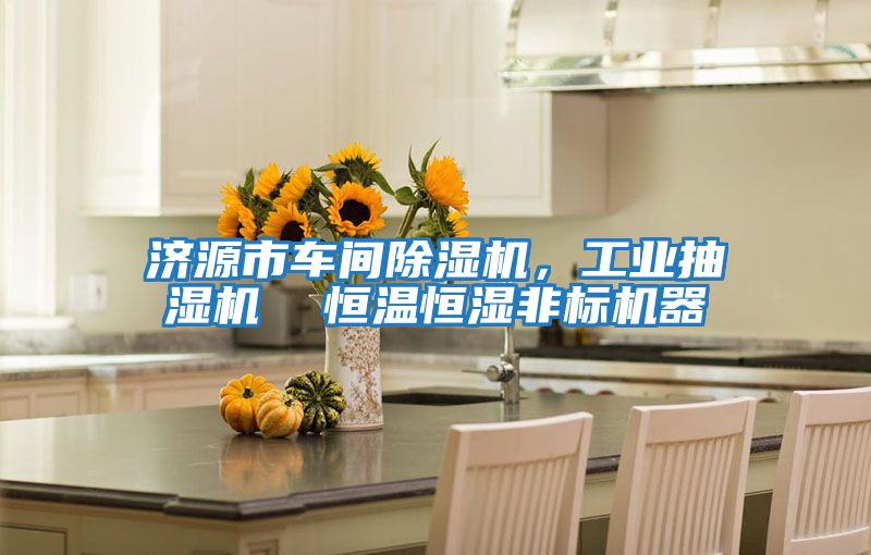 濟(jì)源市車間除濕機(jī),工業(yè)抽濕機(jī) 恒溫恒濕非標(biāo)機(jī)器