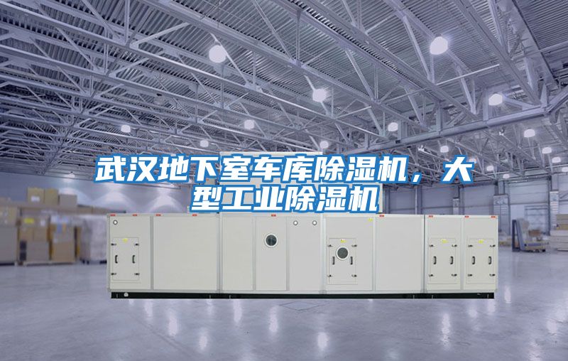 武漢地下室車庫除濕機，大型工業除濕機