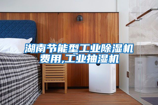 湖南節能型工業除濕機費用,工業抽濕機