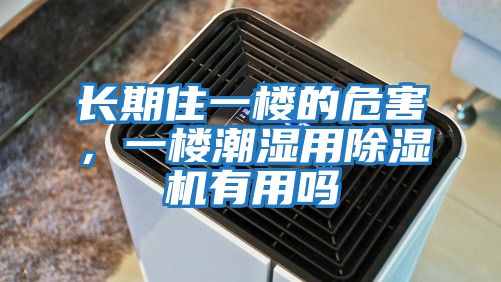 長期住一樓的危害，一樓潮濕用除濕機有用嗎