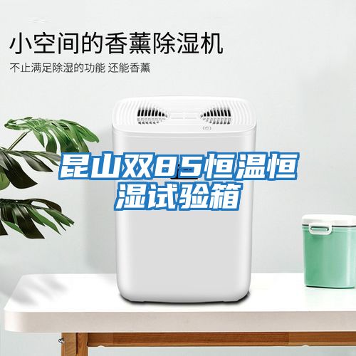 昆山雙85恒溫恒濕試驗箱
