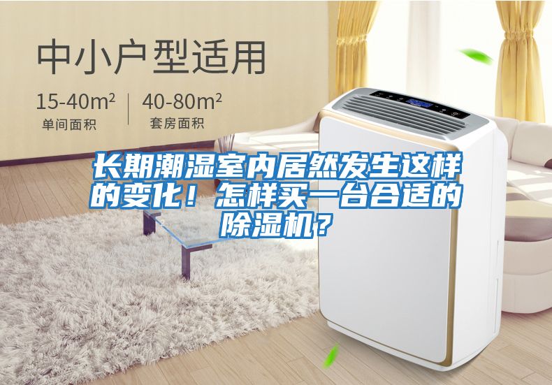 長期潮濕室內居然發生這樣的變化！怎樣買一臺合適的除濕機？