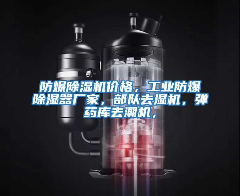 防爆除濕機(jī)價(jià)格,工業(yè)防爆除濕器廠家,部隊(duì)去濕機(jī),彈藥庫(kù)去潮機(jī),