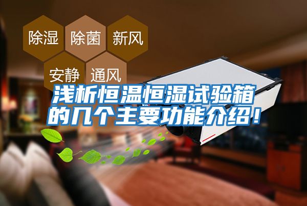 淺析恒溫恒濕試驗(yàn)箱的幾個(gè)主要功能介紹！