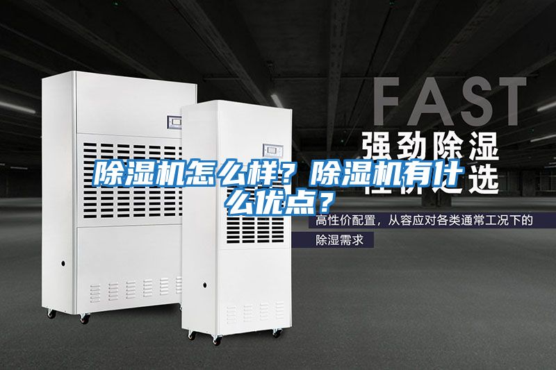 除濕機怎么樣？除濕機有什么優點？