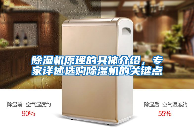 除濕機原理的具體介紹，專家詳述選購除濕機的關鍵點