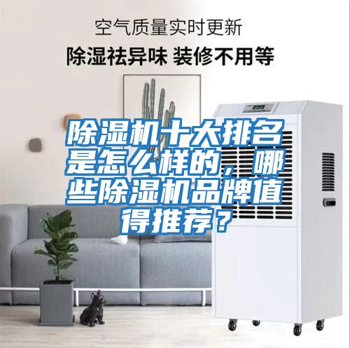 除濕機十大排名是怎么樣的，哪些除濕機品牌值得推薦？