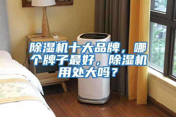 除濕機十大品牌，哪個牌子最好，除濕機用處大嗎？