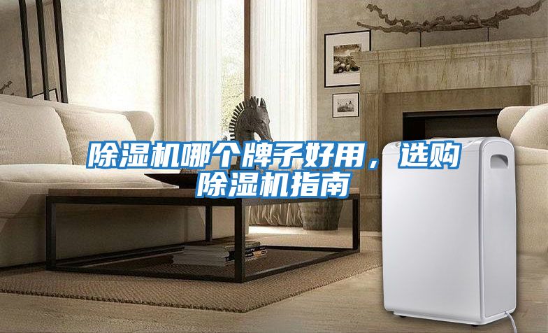 除濕機(jī)哪個牌子好用，選購除濕機(jī)指南