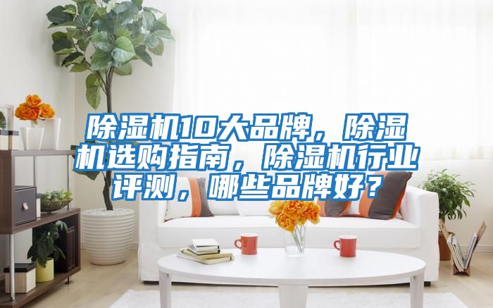 除濕機10大品牌，除濕機選購指南，除濕機行業評測，哪些品牌好？