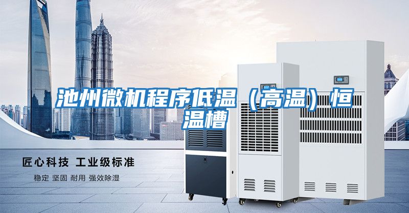 池州微機程序低溫（高溫）恒溫槽