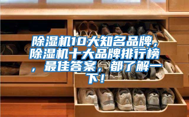 除濕機10大知名品牌，除濕機十大品牌排行榜，最佳答案，都了解一下！