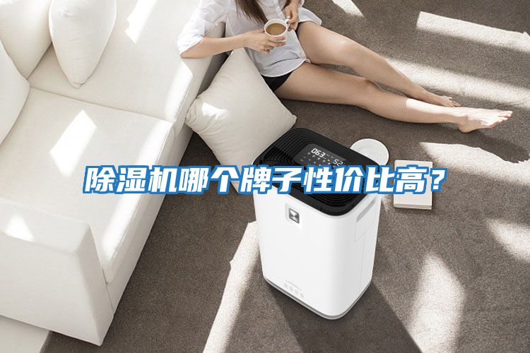 除濕機哪個牌子性價比高？