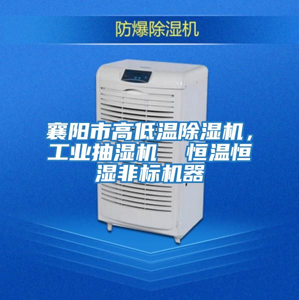 襄陽市高低溫除濕機,工業(yè)抽濕機 恒溫恒濕非標機器