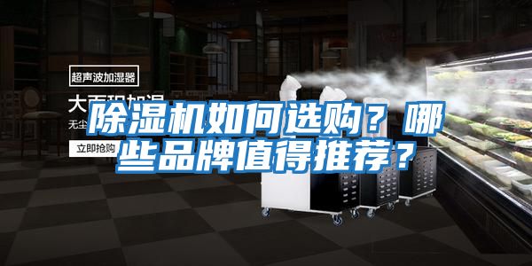除濕機如何選購？哪些品牌值得推薦？
