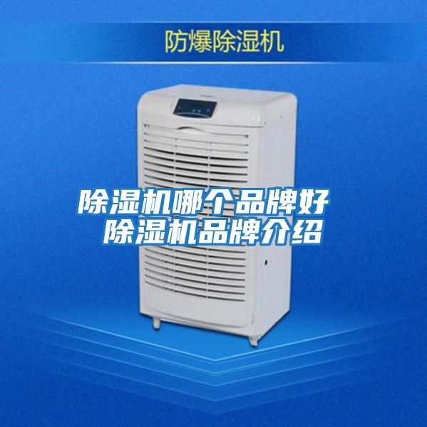 除濕機哪個品牌好 除濕機品牌介紹