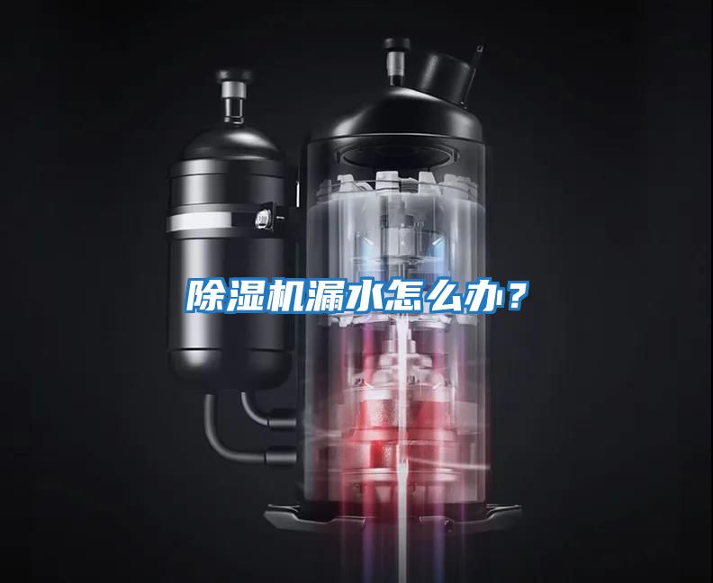 除濕機漏水怎么辦？