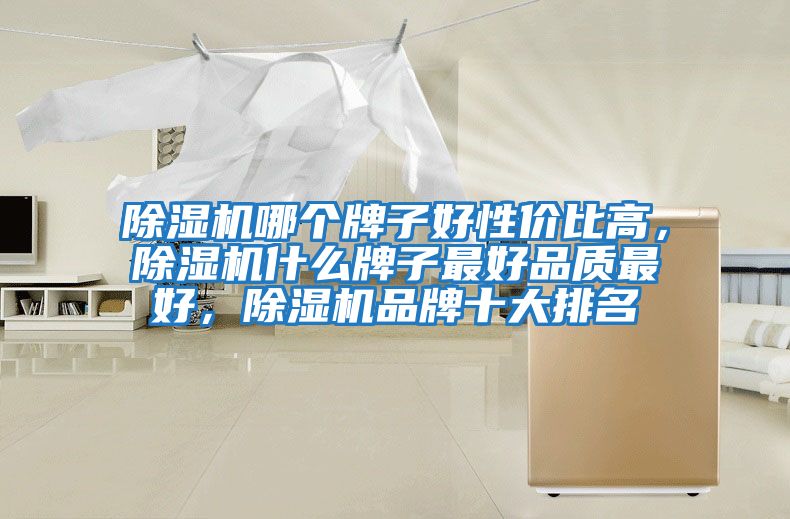 除濕機(jī)哪個(gè)牌子好性價(jià)比高，除濕機(jī)什么牌子最好品質(zhì)最好，除濕機(jī)品牌十大排名