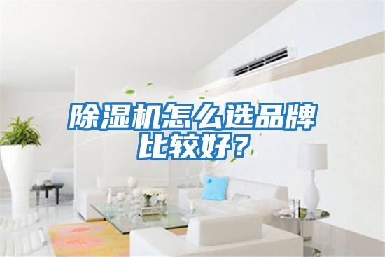 除濕機(jī)怎么選品牌比較好？