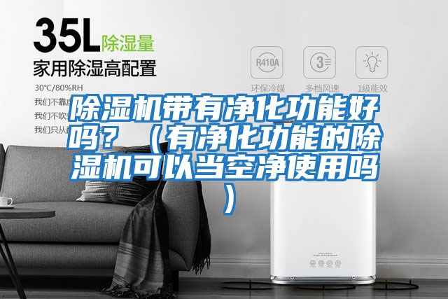 除濕機帶有凈化功能好嗎？（有凈化功能的除濕機可以當空凈使用嗎）