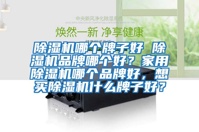 除濕機哪個牌子好 除濕機品牌哪個好？家用除濕機哪個品牌好，想買除濕機什么牌子好？