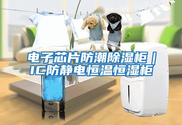 電子芯片防潮除濕柜|IC防靜電恒溫恒濕柜
