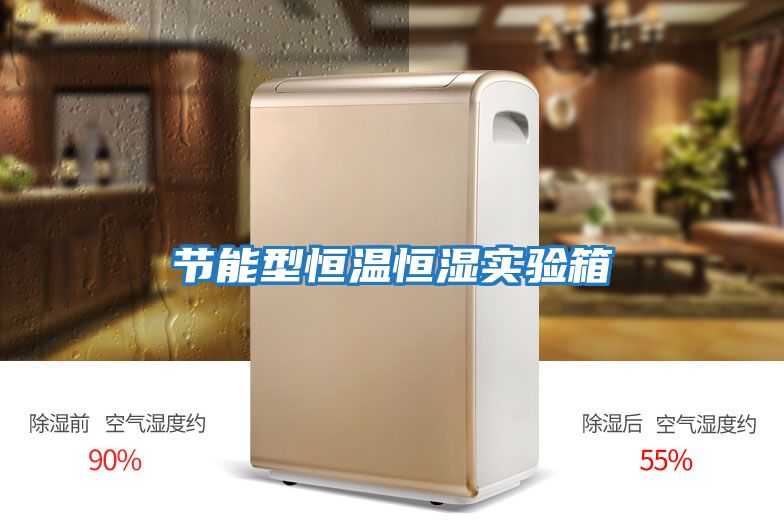 節(jié)能型恒溫恒濕實(shí)驗(yàn)箱