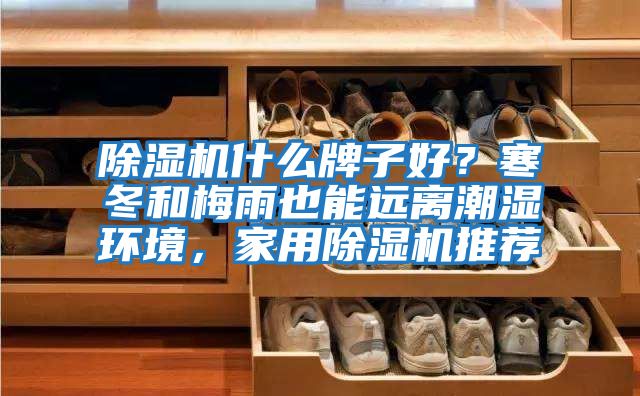 除濕機什么牌子好？寒冬和梅雨也能遠離潮濕環境，家用除濕機推薦