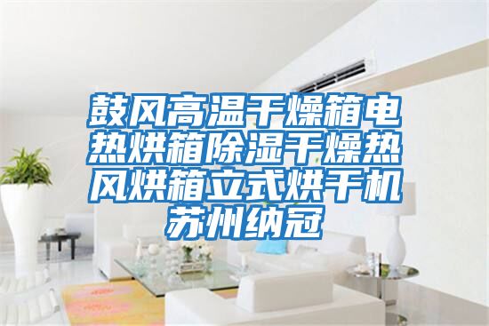 鼓風高溫干燥箱電熱烘箱除濕干燥熱風烘箱立式烘干機蘇州納冠