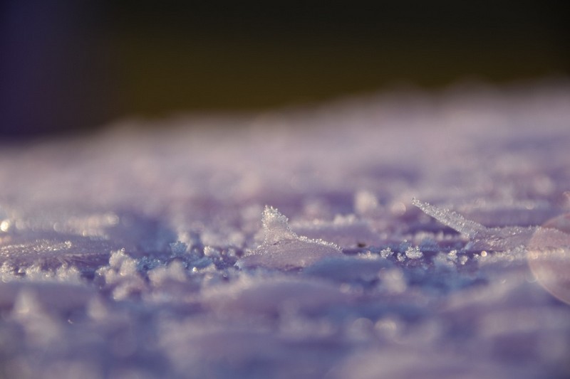 你知道除濕機為什么需要自動化霜嗎？ 冷凍式除濕機化霜功能