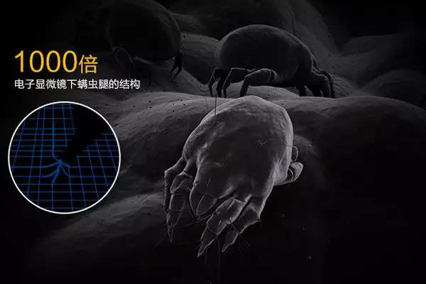 螨蟲高發季,家用除濕機除螨有妙計!