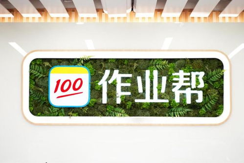 作業幫逆勢募集7.5億美元E輪投資 自有流量“核武”效果顯現，職業教育投資成新突破口