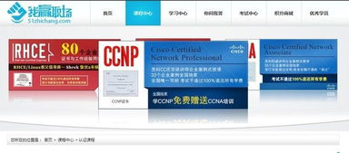 我贏職場獲真格基金200萬天使投資，在線IT職業教育賽道再添變數